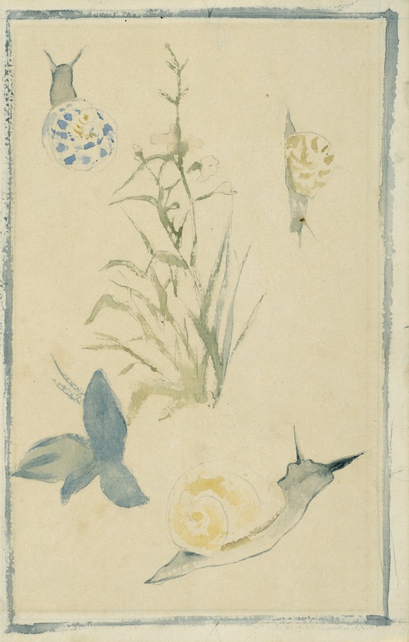 घोंघे के फूल, फूल का पौधा, c.1880 द्वारा एडोर्ड मैनेट