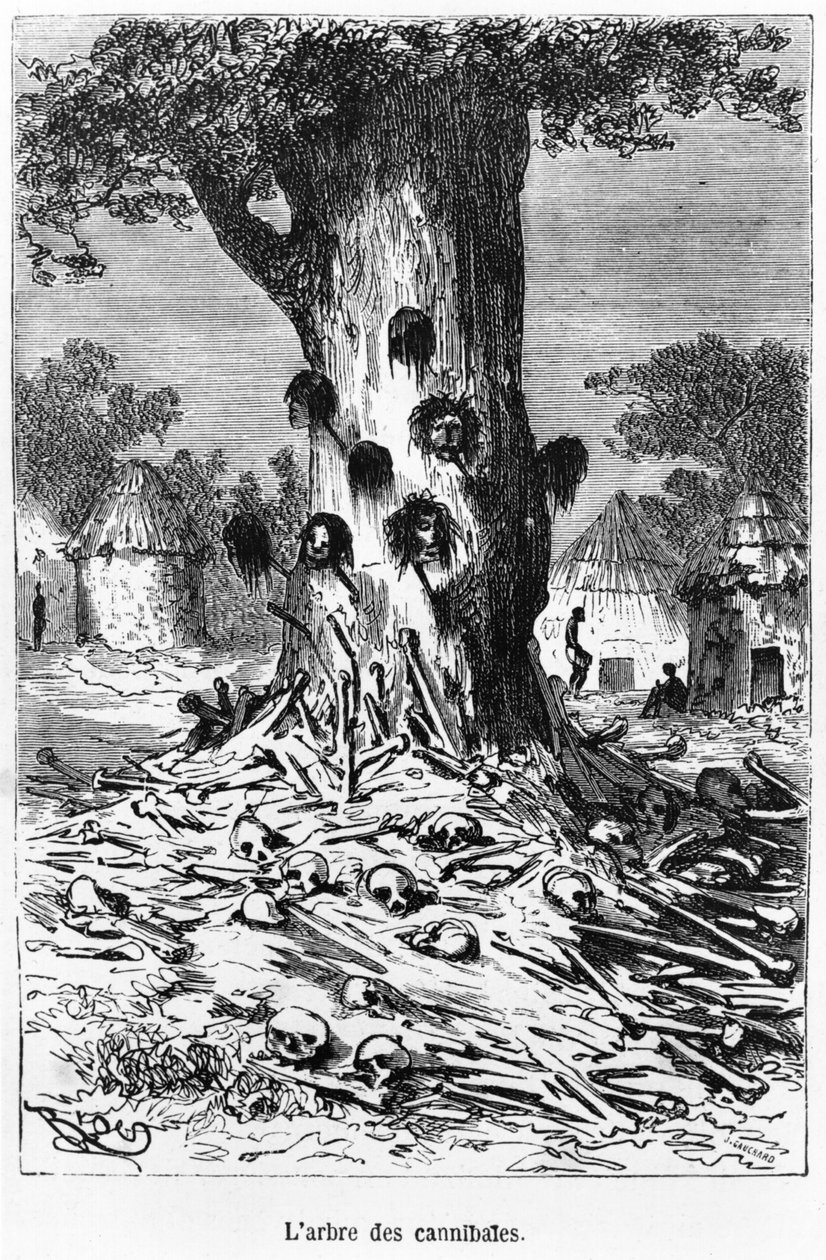 कैनबल्स का पेड़, जूल्स वर्ने (1828-1905) पेरिस, हेट्ज़ेल द्वारा &39;फाइव वीज़ इन ए बैलून&39; का चित्रण द्वारा एडौर्ड रिउ