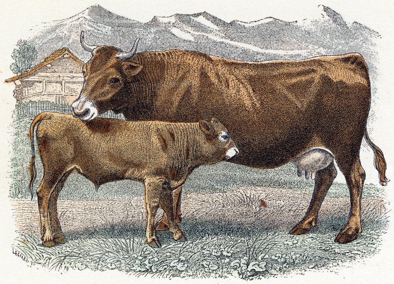  द्वारा एडौर्ड ट्रैविस