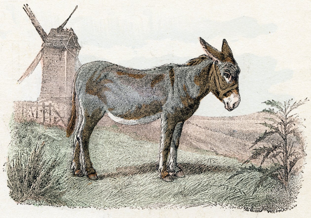  द्वारा एडौर्ड ट्रैविस