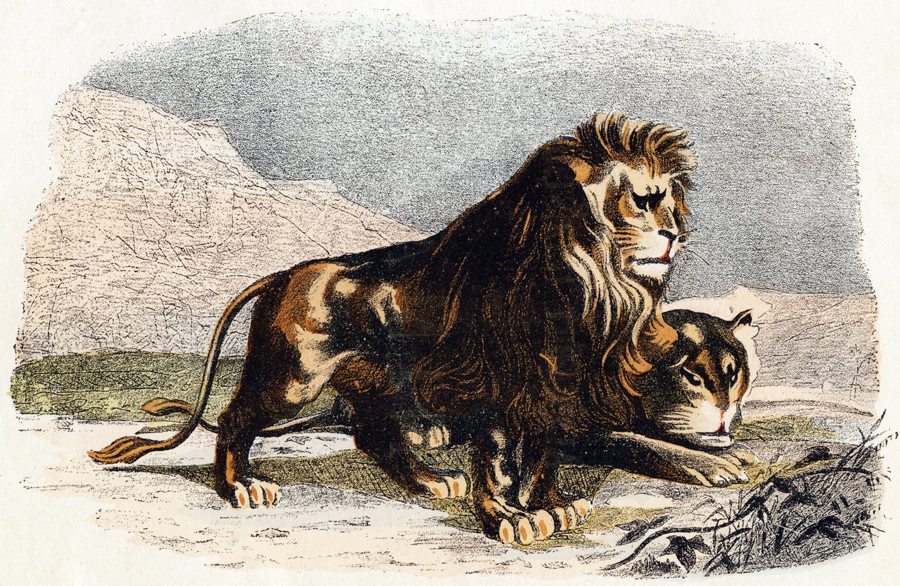  द्वारा एडौर्ड ट्रैविस