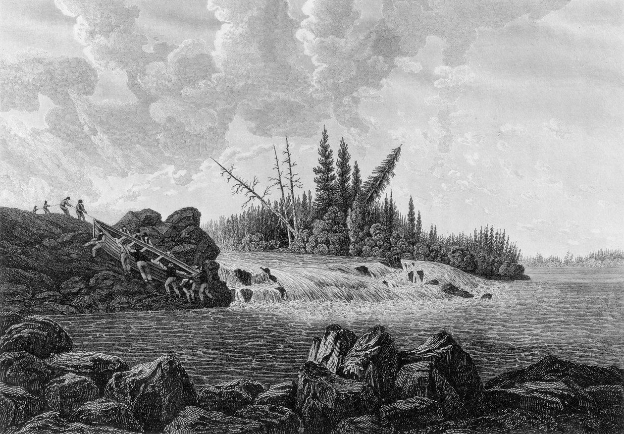 ट्राउट फॉल, 1819 द्वारा एडवर्ड फ्रांसिस खोजें