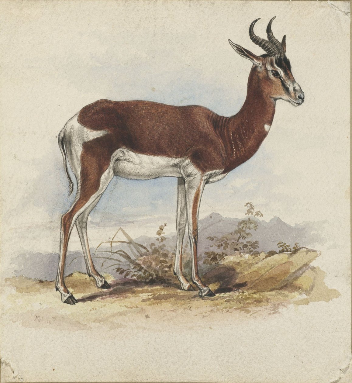 एक मृग द्वारा एडवर्ड लीयर