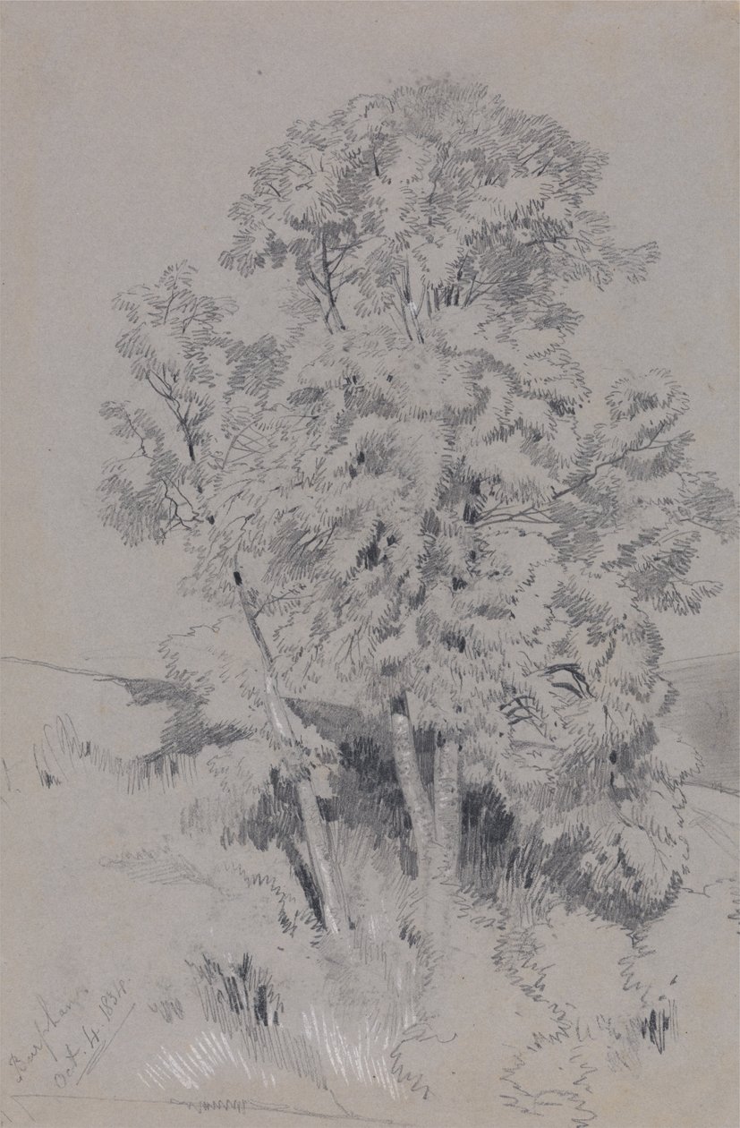 बरफम Oct.4.1834 द्वारा एडवर्ड लीयर