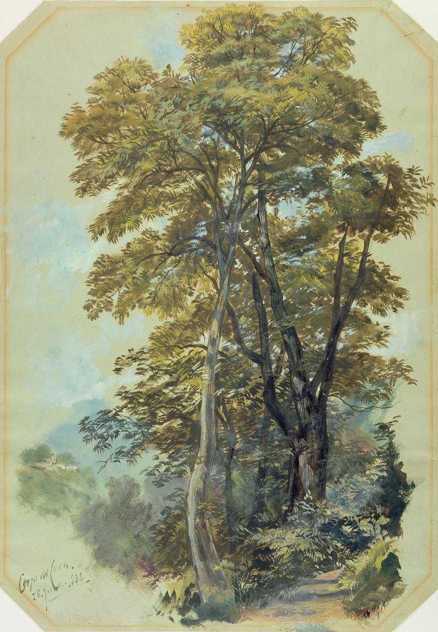 एडवर्ड लीयर, कॉर्पो डी कावा, 28 जून, 1838 (ग्रे वोव पेपर पर तेल) द्वारा एडवर्ड लीयर