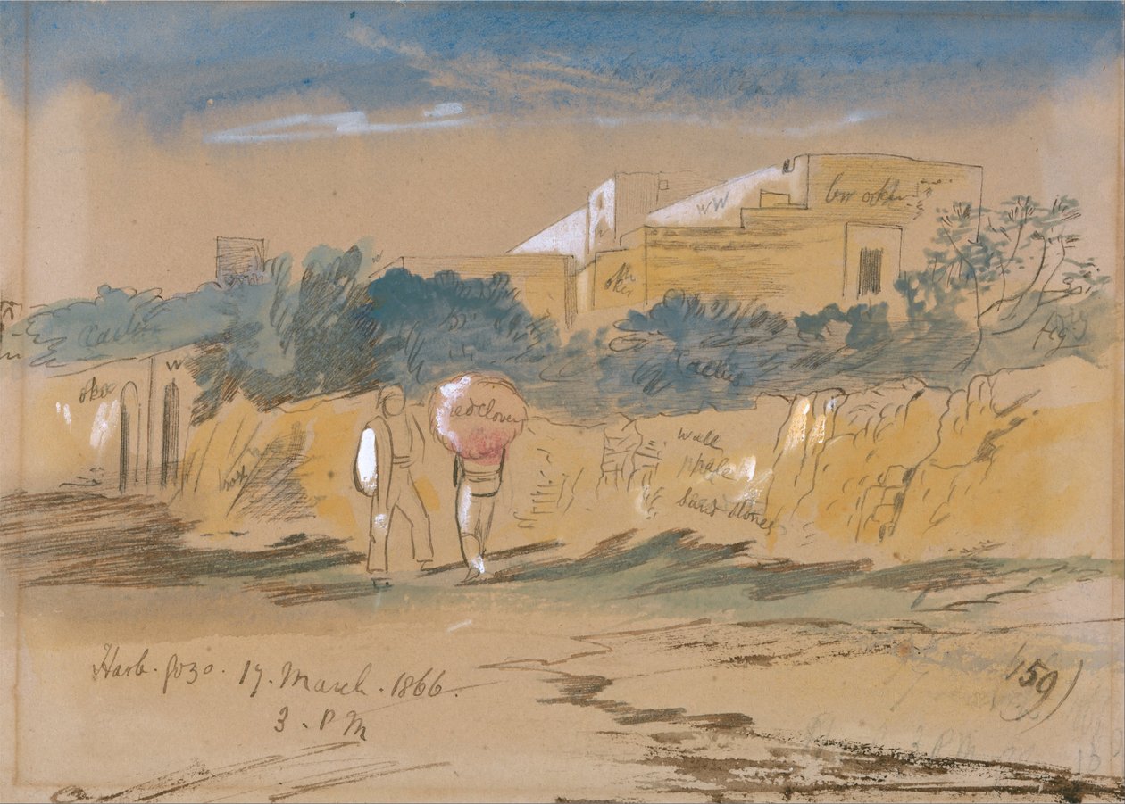 हर्ब। Gozo द्वारा एडवर्ड लीयर