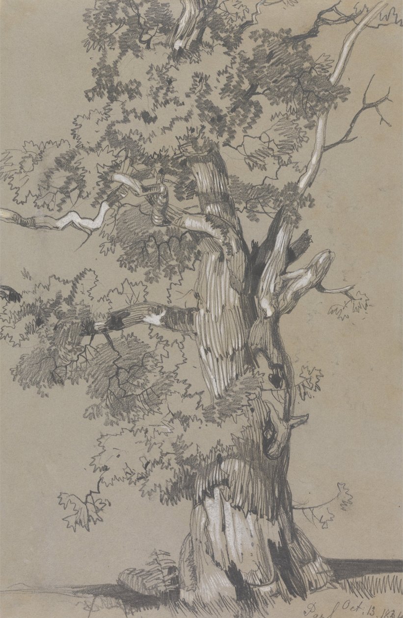 परम, अक्टूबर .13.1834 द्वारा एडवर्ड लीयर