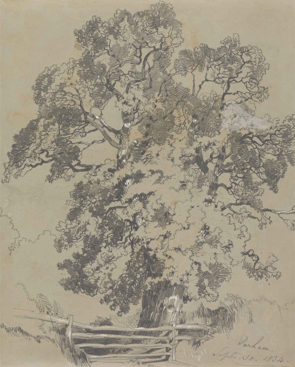 परम, 30 सितंबर, 1834 द्वारा एडवर्ड लीयर