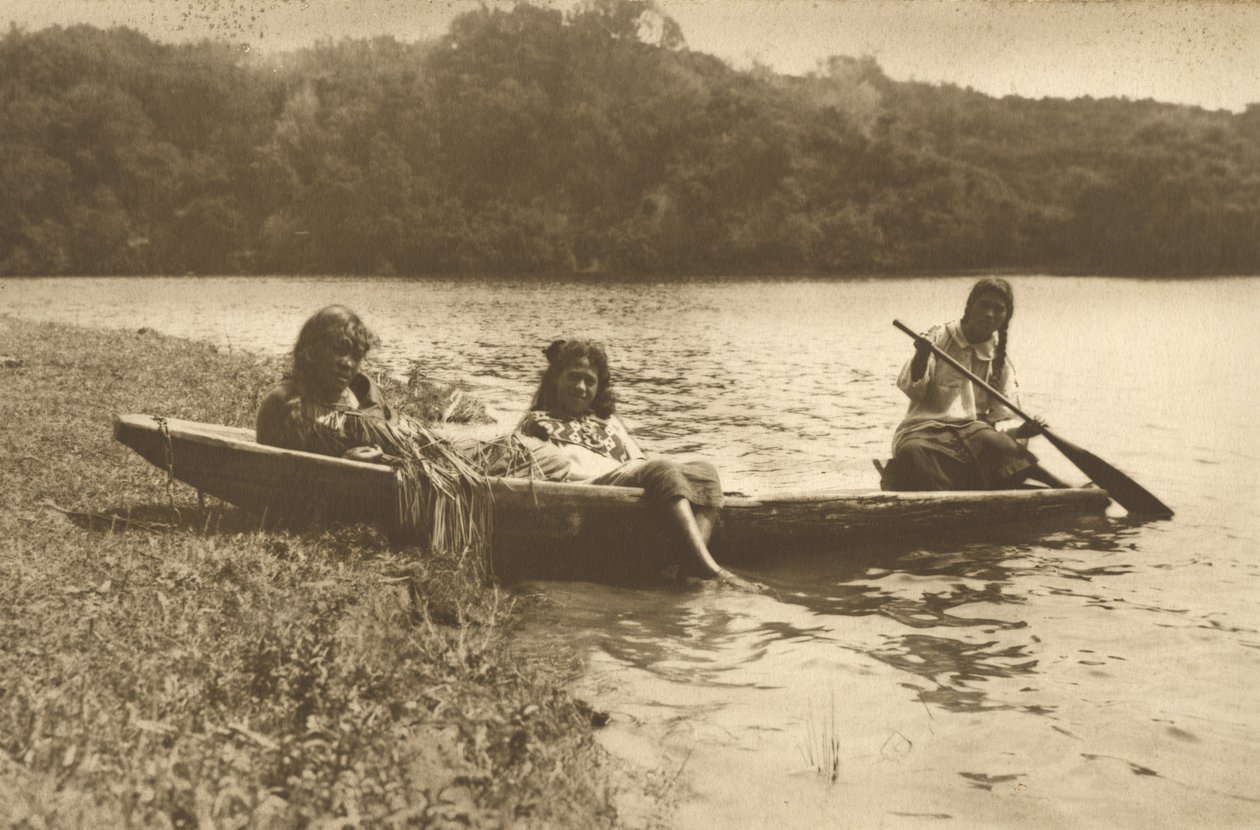 वाका, झील रोटोती, c.1915 (रजत जिलेटिन प्रिंट) द्वारा एडवर्ड पेटन