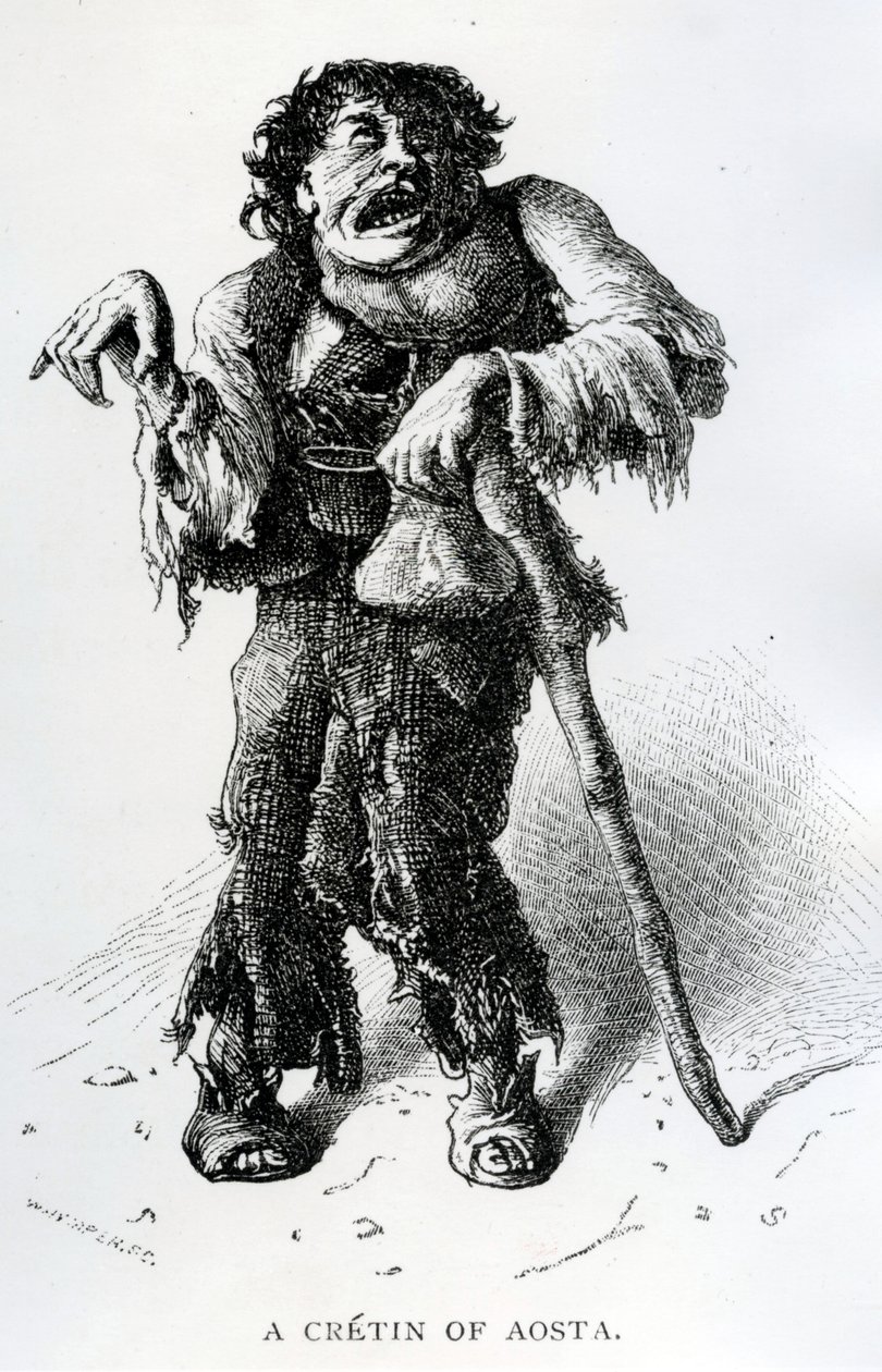 Aosta की एक Crtin, c.1870 (लकड़ी की नक्काशी) द्वारा एडवर्ड व्हिम्पर