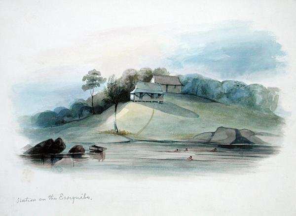 Essiquibo, ब्रिटिश गुयाना पर स्टेशन, c.1840 (कागज पर पानी के रंग का) द्वारा एडवर्ड एंजेलो गुडाल