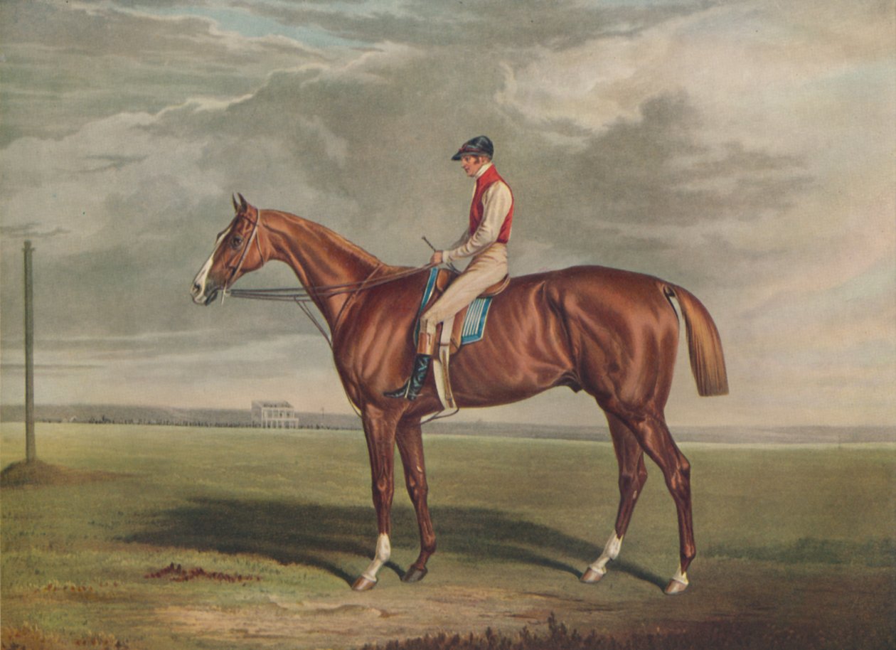 वेलोसिपेड, सेंट लीगर के विजेता, 1828, c1828, 1929 द्वारा एडवर्ड डंकन