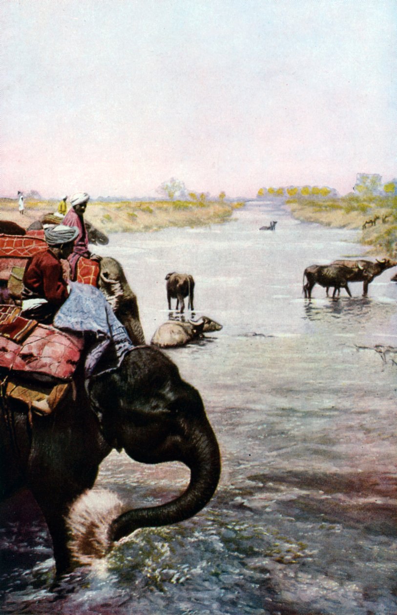 रिवर सीन, सेंट्रल इंडिया, c1930s द्वारा एडवर्ड ई लोंग