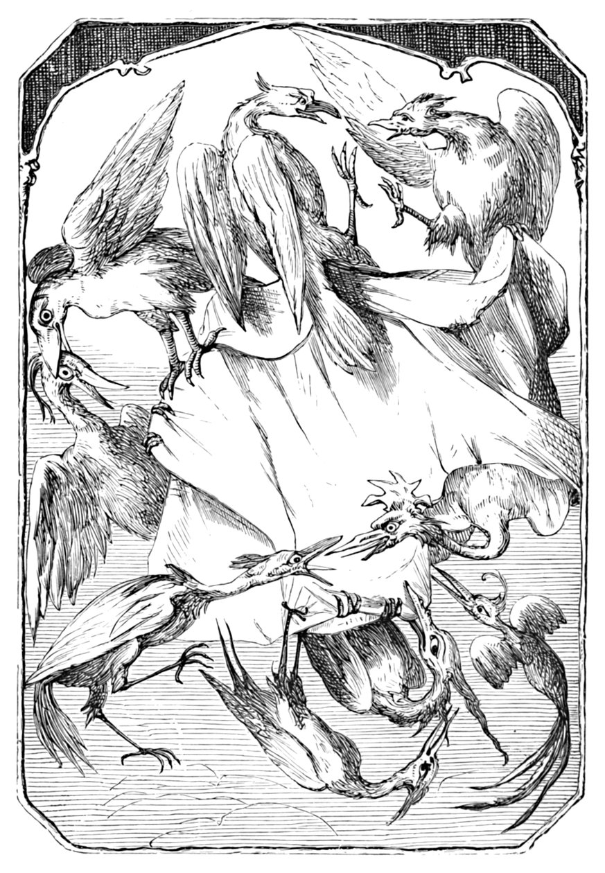 द गधा कैबेज्स, 1901 द्वारा एडवर्ड हेनरी वेहेंर्ट