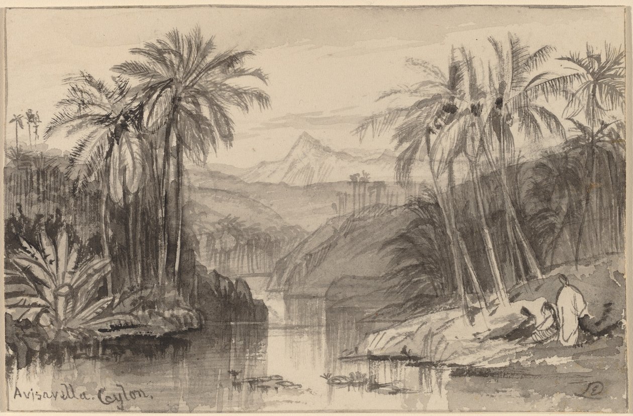 अविसावेला, सीलोन, 18841885। द्वारा एडवर्ड लीयर