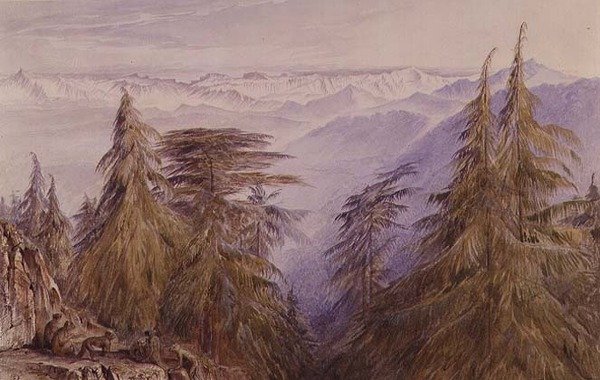 उत्तर भारत के शिमला के पास एक चट्टान पर बंदर द्वारा एडवर्ड लीयर