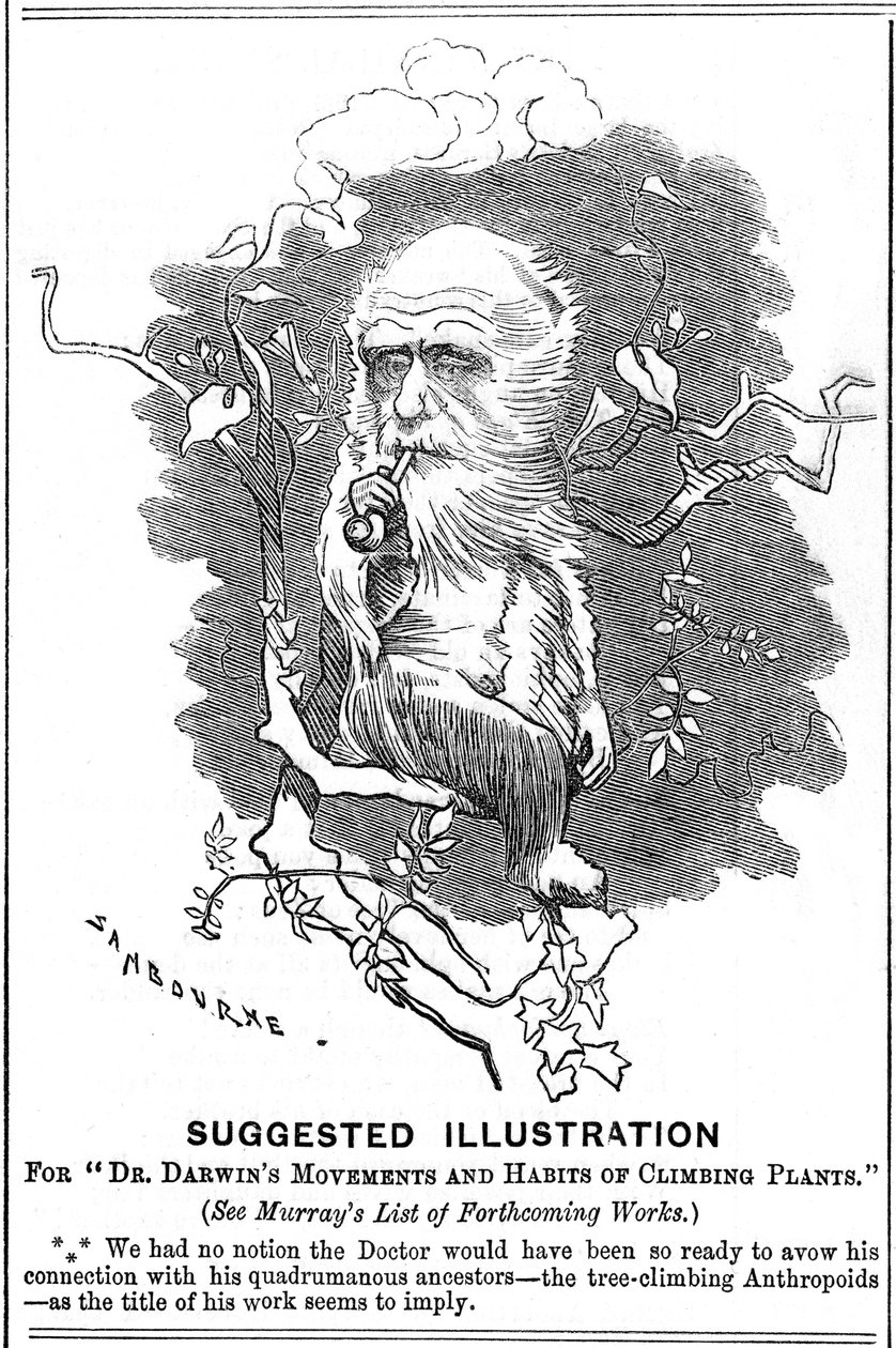 चार्ल्स डार्विन, अंग्रेजी प्रकृतिवादी, 1875 द्वारा एडवर्ड लिनली साम्बूरने