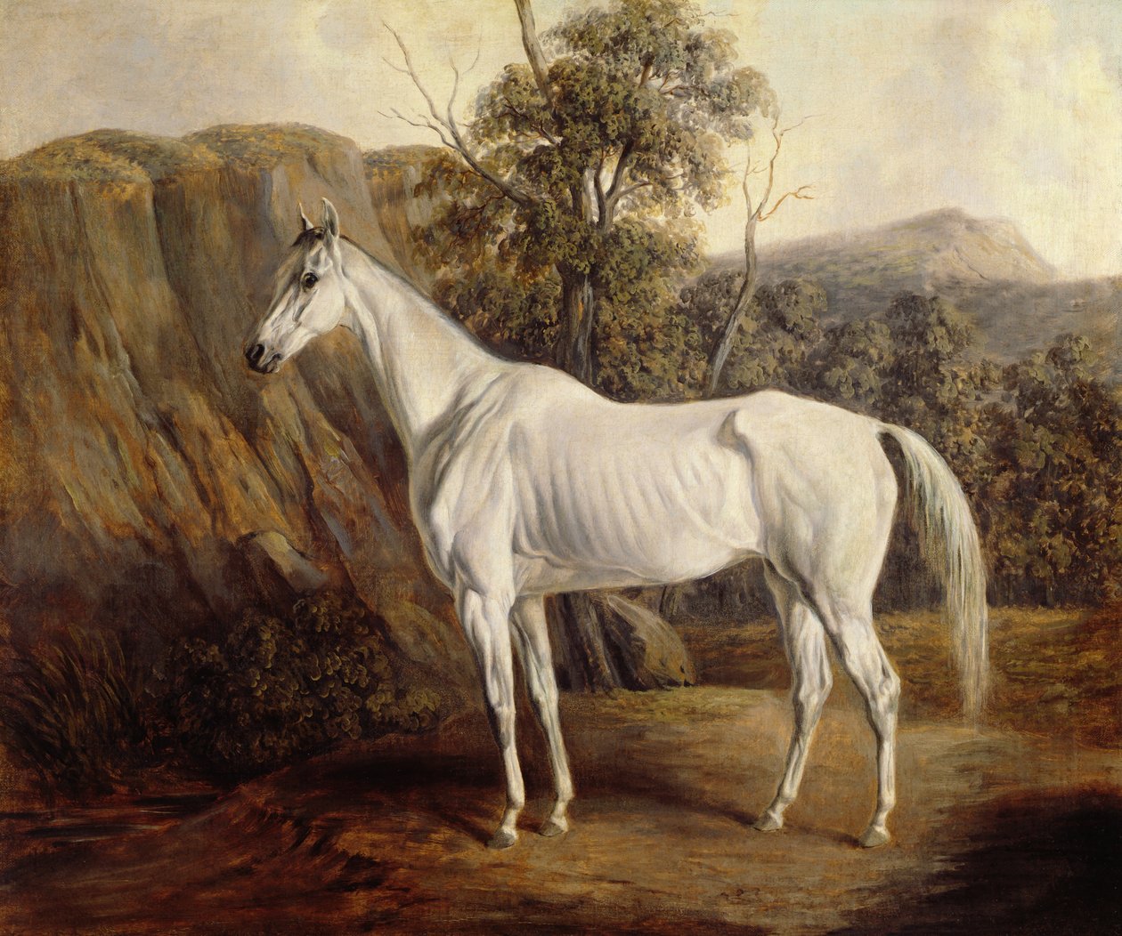 बोलीविया, 1836 द्वारा एडवर्ड ट्रॉय
