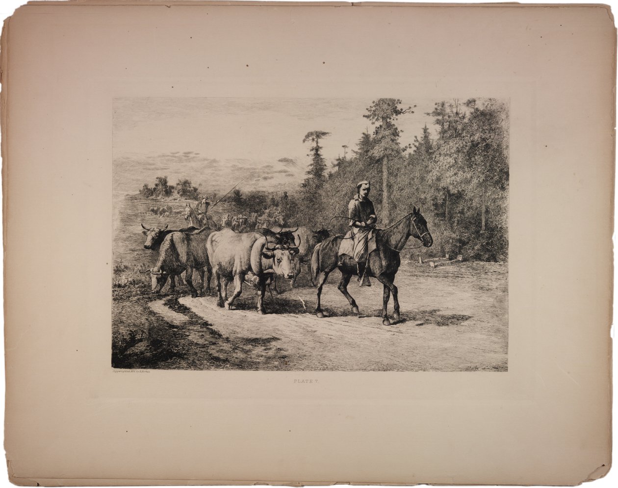 झुंड के नेता, 1876 द्वारा एडविन ऑस्टिन फोर्ब्स