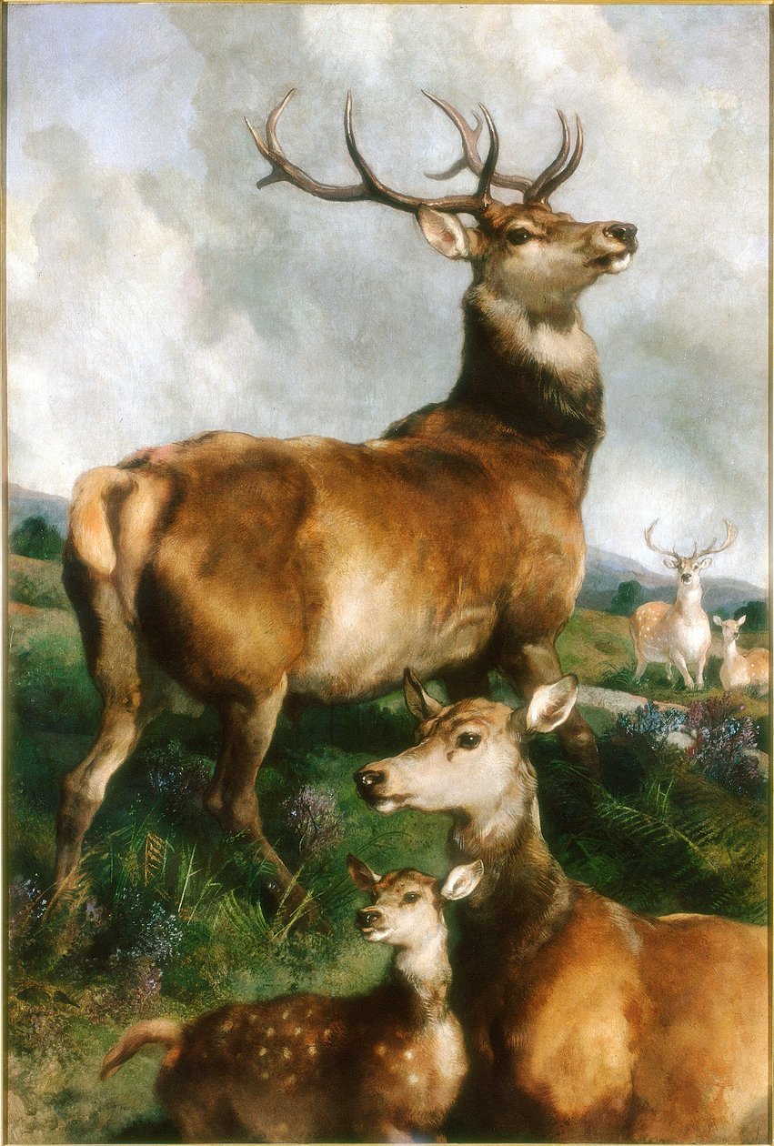 चिलिंगहम पार्क, नॉर्थम्बरलैंड का हिरण, c.1867 द्वारा एडविन लैंडसीर
