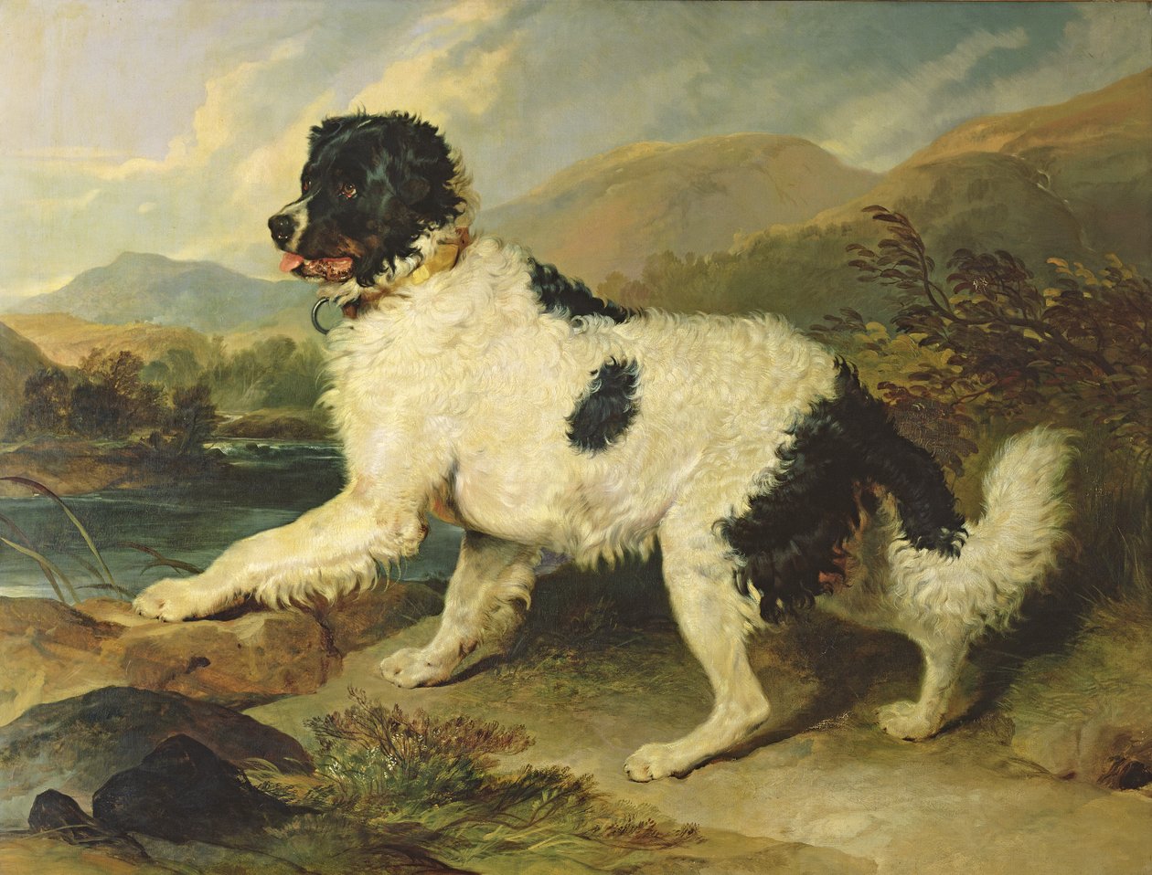 न्यूफ़ाउंडलैंड डॉग को शेर, 1824 कहा जाता है द्वारा एडविन लैंडसीर