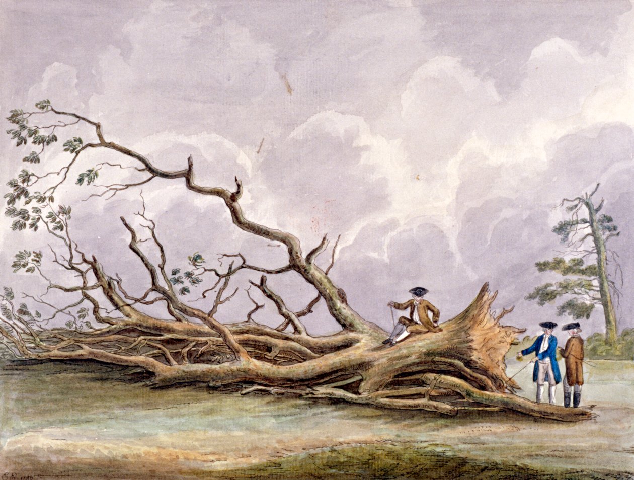15 अक्टूबर, रोहैम्पटन, लंदन, 1780 के तूफान से क्षतिग्रस्त हुए पेड़ द्वारा एडविन एडवर्ड्स