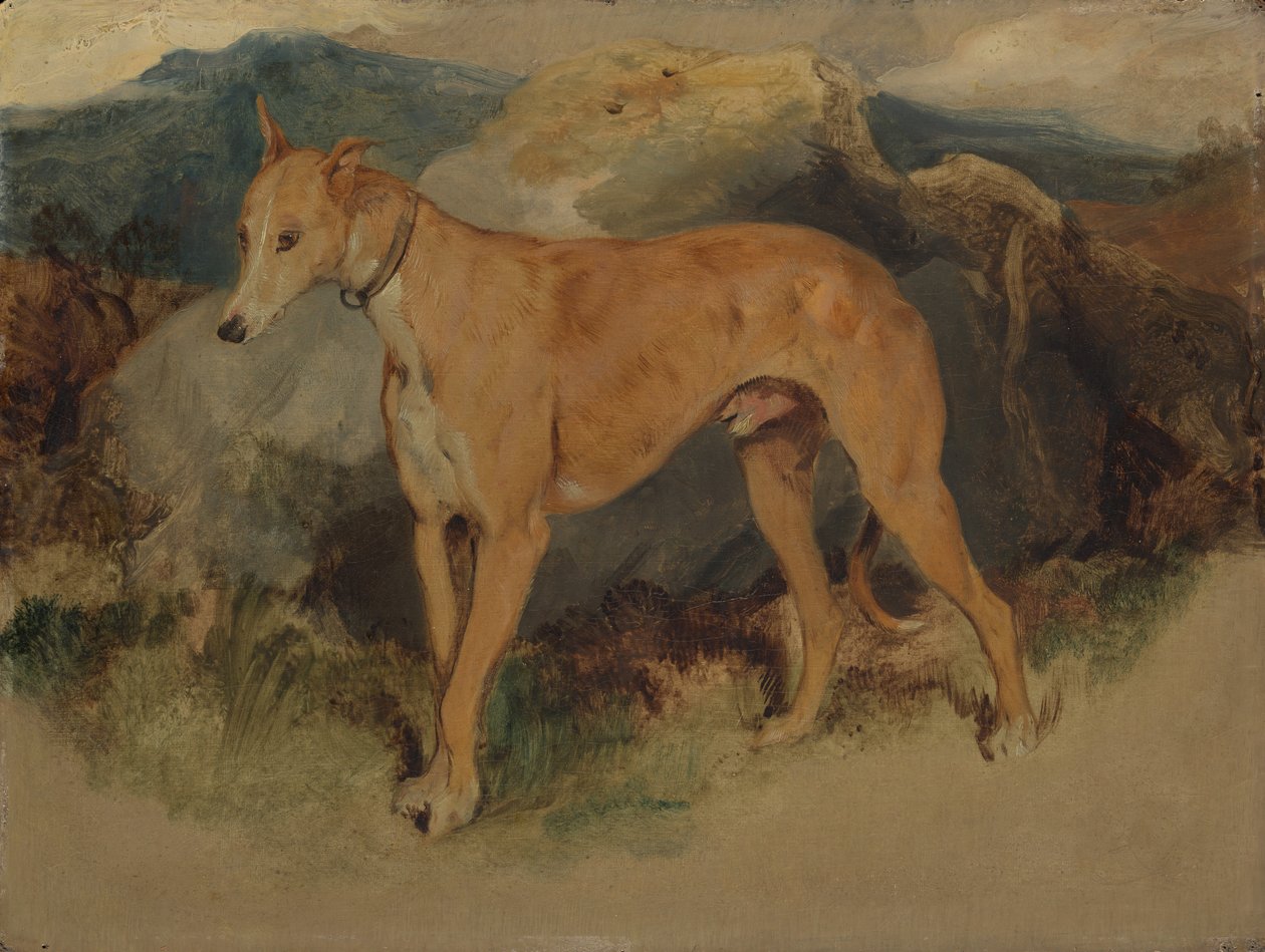 ए डियरहाउंड, 1826। द्वारा एडविन लैंडसीर