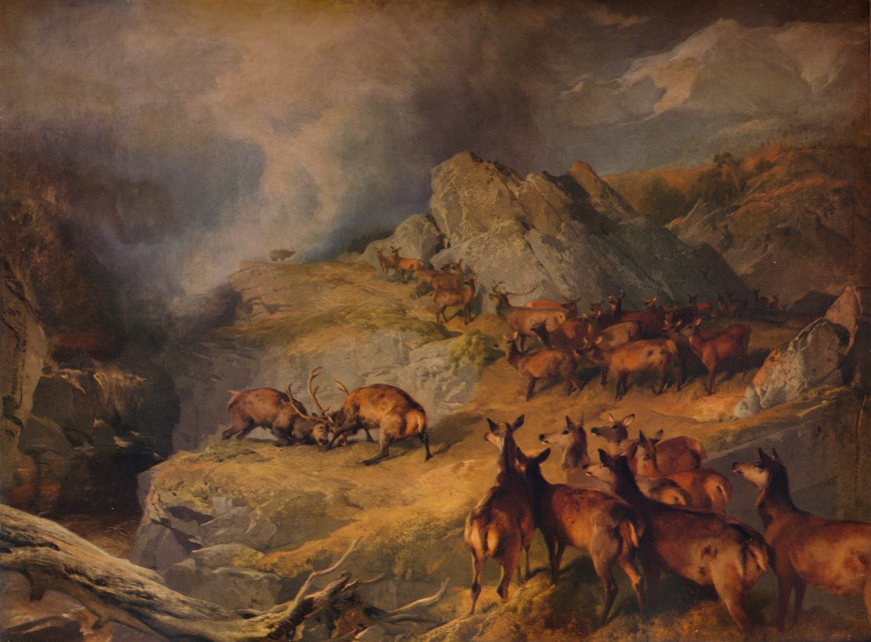 कोई भी नहीं बल्कि बहादुर मेला का हकदार है, c1854 द्वारा एडविन लैंडसीर