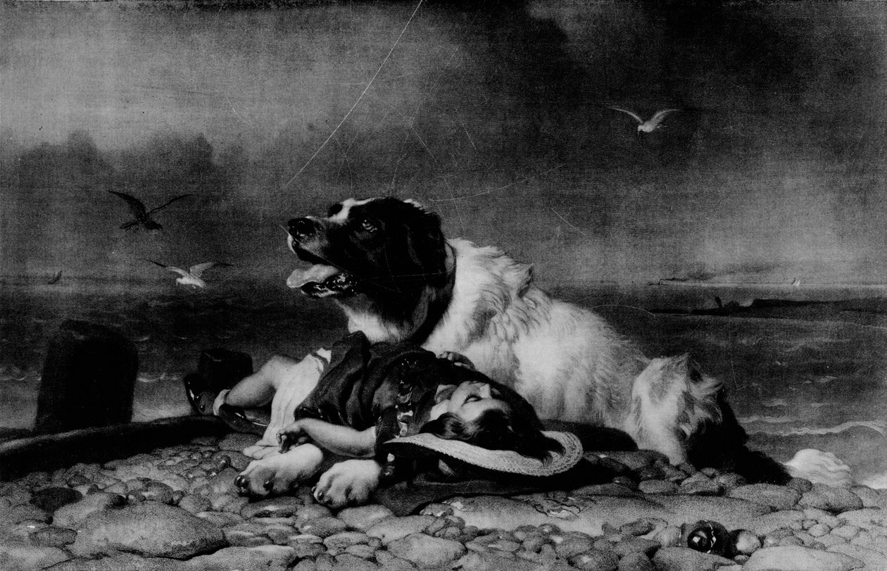 सहेजा गया !, c1856, 1911 द्वारा एडविन लैंडसीर