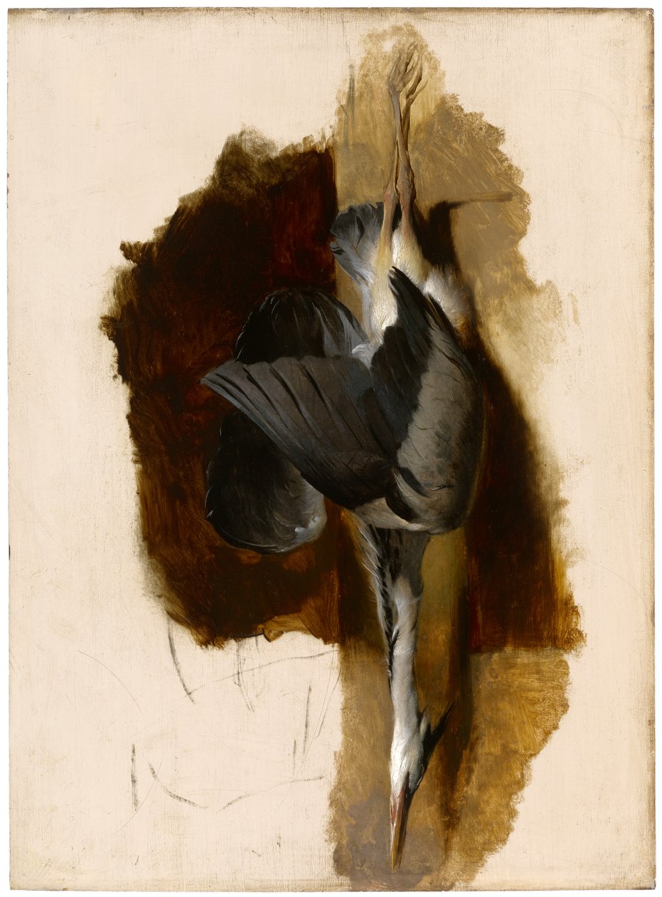 एक मृत बगुले का अध्ययन, c.1832-33 द्वारा एडविन लैंडसीर