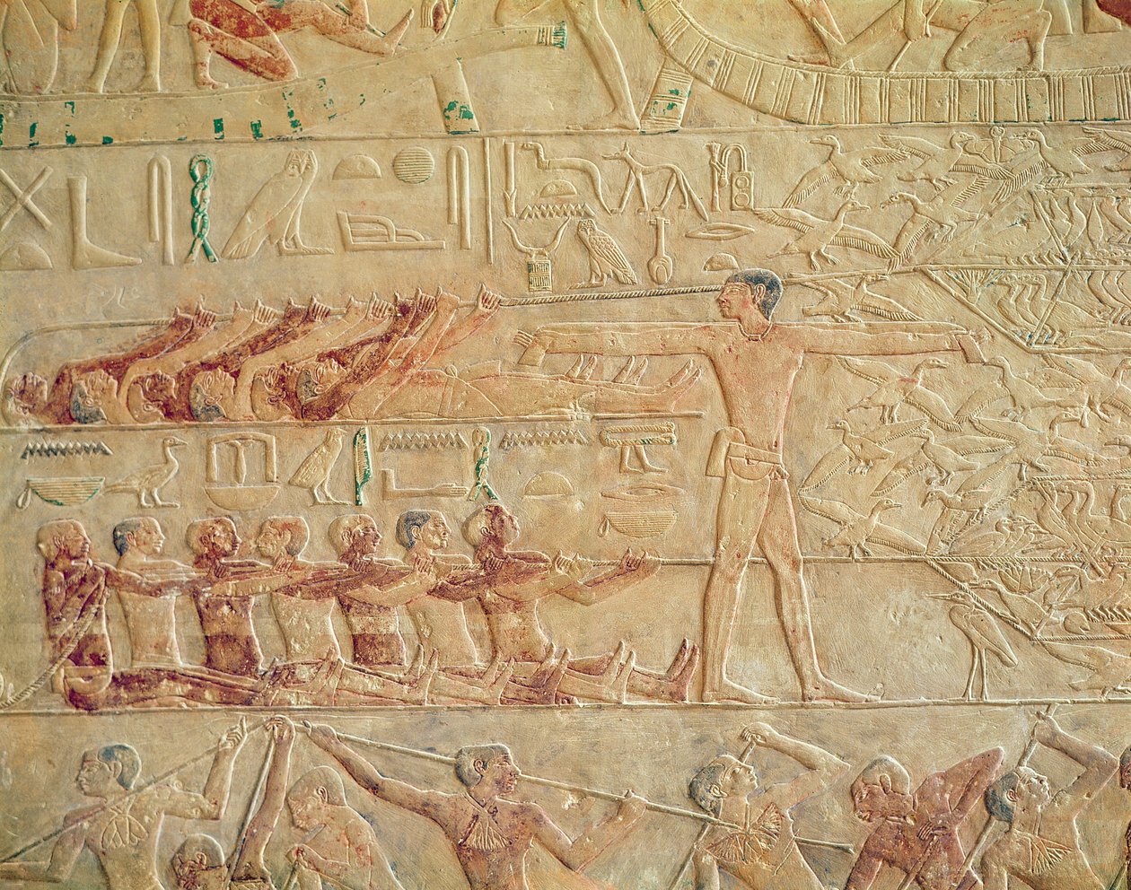 Ptah-Hotep और Akhti-Hotep, Old Kingdom (चित्रित अंग) के मस्तबा से, व्यायाम करने वाले पुरुषों का चित्रण द्वारा मिस्र का 5 वां राजवंश