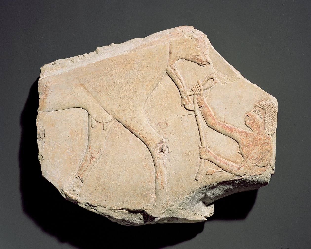 आसिफ़, थेब्स, थर्ड इंटरमीडिएट पीरियड (c.1069-664 ईसा पूर्व) (चूना पत्थर) से बछड़े के जन्म को दर्शाती एक राहत की खुशबू द्वारा मिस्र