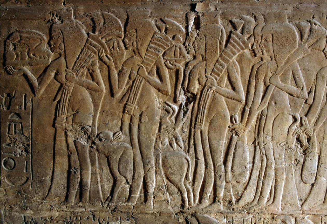  द्वारा मिस्र का 18वां राजवंश Dy