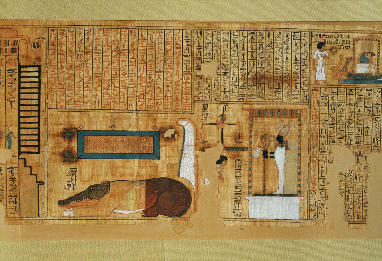  द्वारा मिस्र का 18वां राजवंश Dy