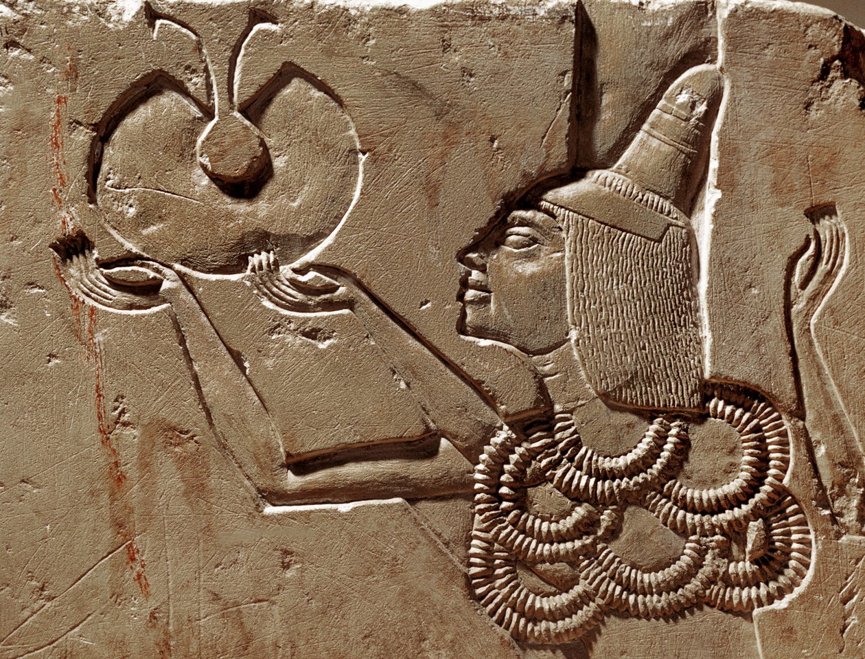  द्वारा मिस्र का 18वां राजवंश Dy