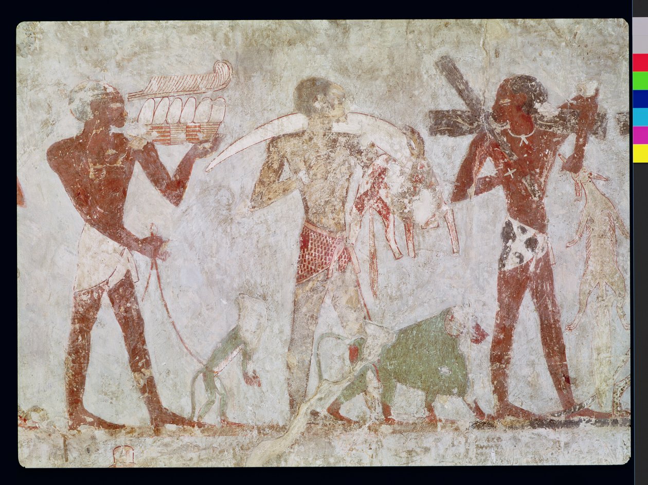 Rekhmire के मकबरे, Tuthmosis III के vizier और Amenhotep II, New Kingdom (दीवार पेंटिंग) से सोने, हाथी दांत और जानवरों की खाल की सहायक नदियाँ ले जाने वाली कुशियाँ द्वारा मिस्र का 18वां राजवंश Dy