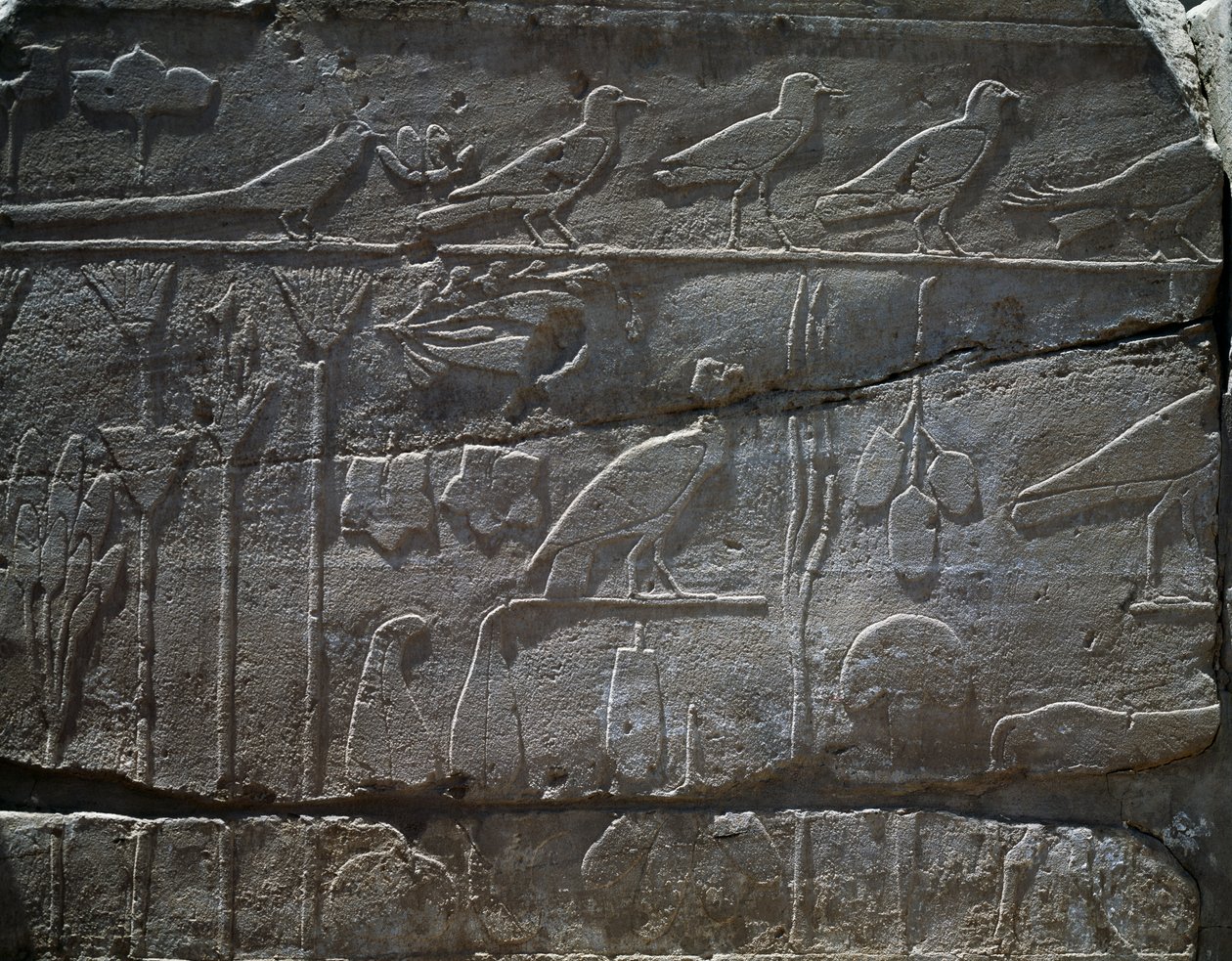  द्वारा मिस्र का 18वां राजवंश Dy