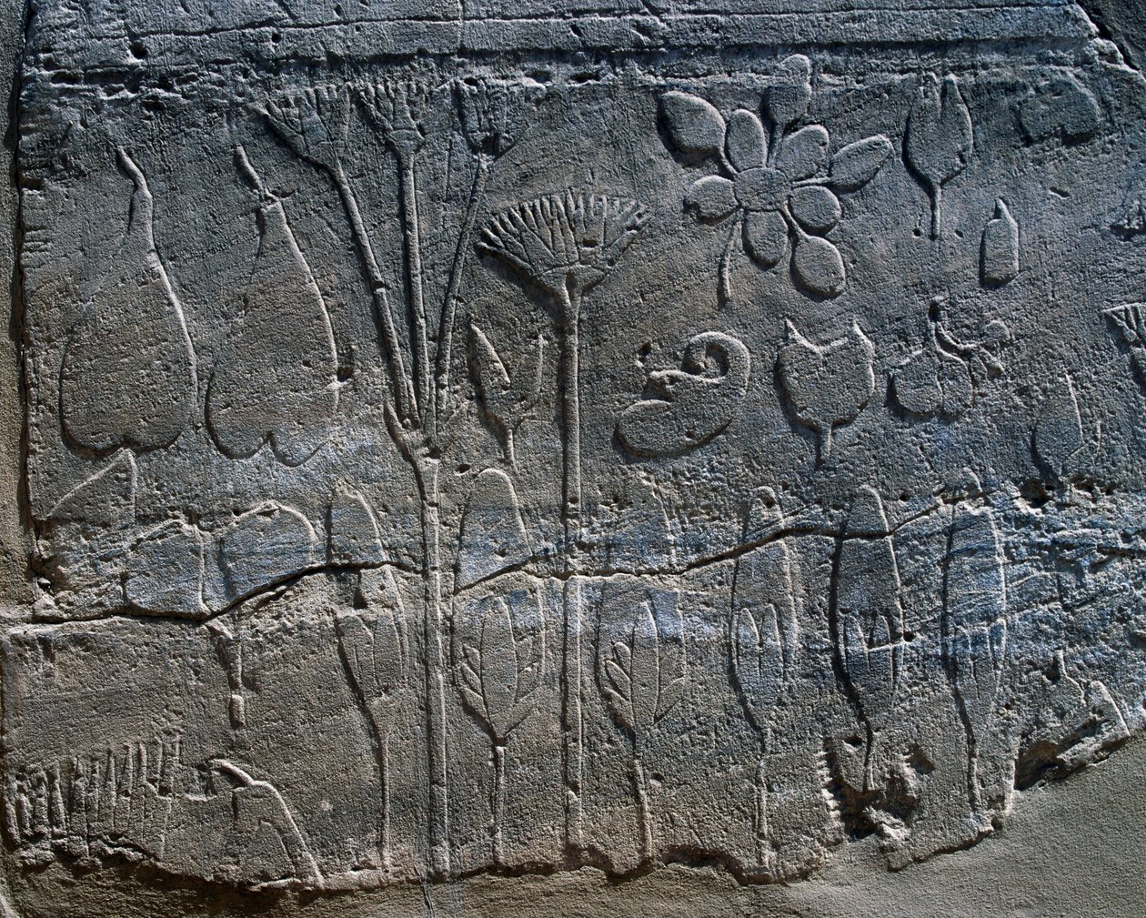  द्वारा मिस्र का 18वां राजवंश Dy