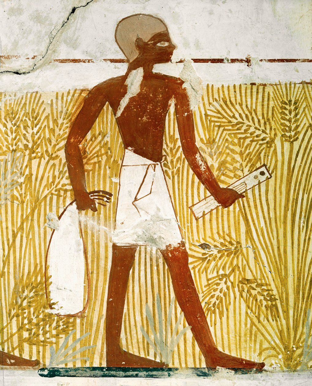  द्वारा मिस्र का 18वां राजवंश Dy