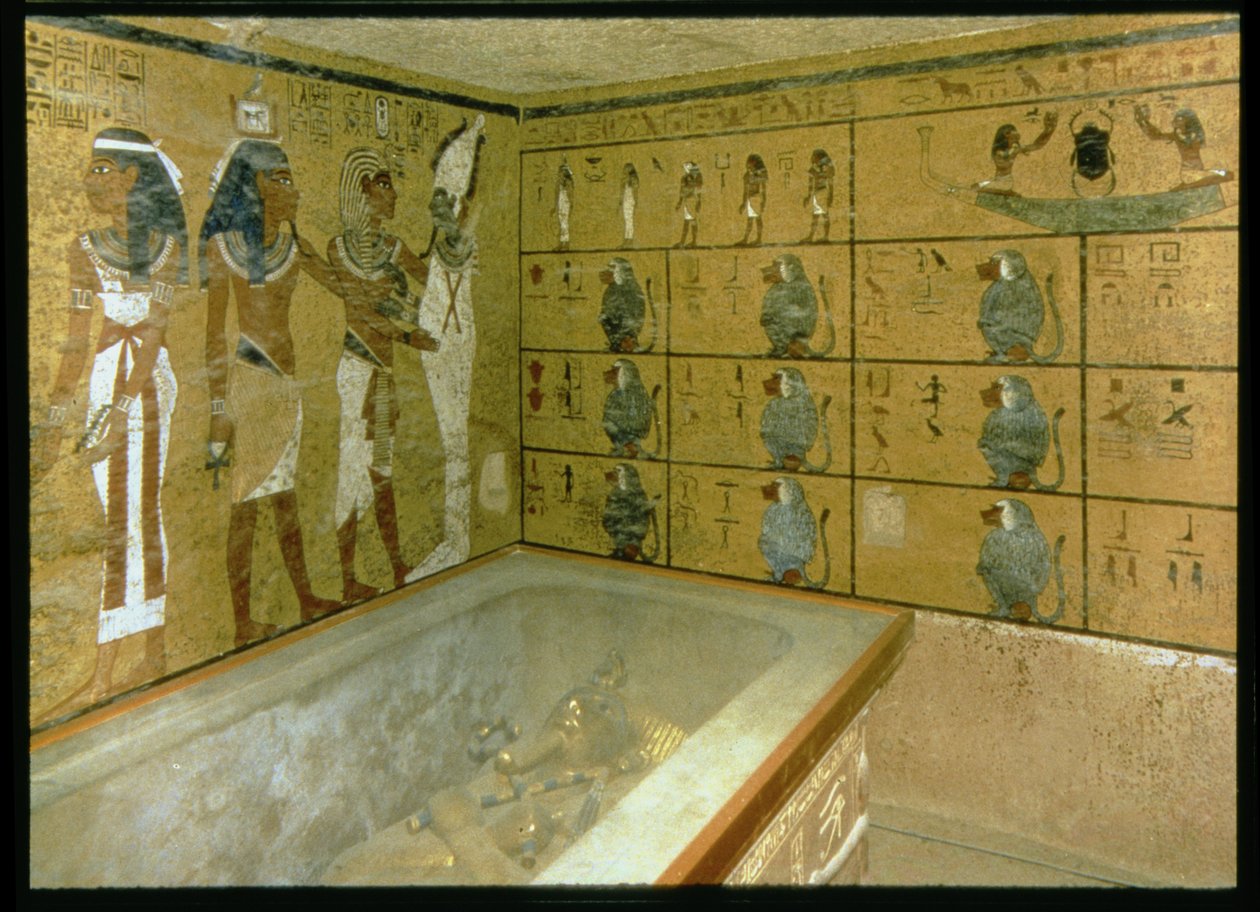 द्वारा मिस्र का 18वां राजवंश Dy