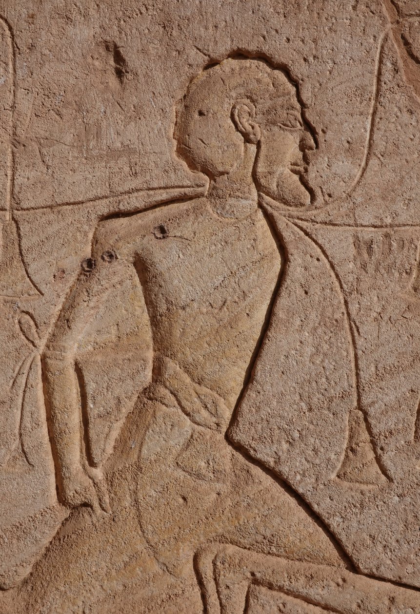  द्वारा मिस्र का 19 वां राजवंश