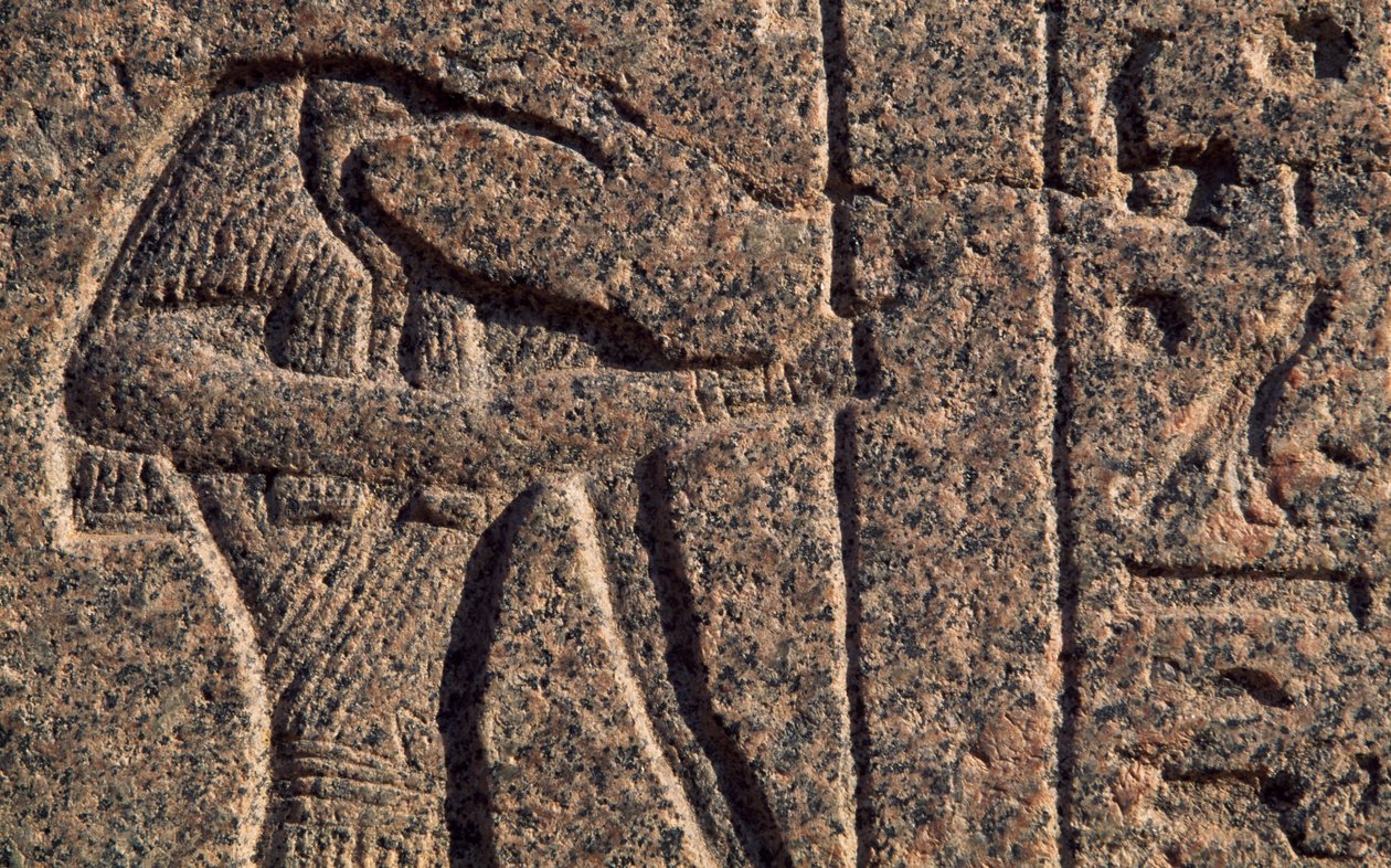  द्वारा मिस्र का 19 वां राजवंश