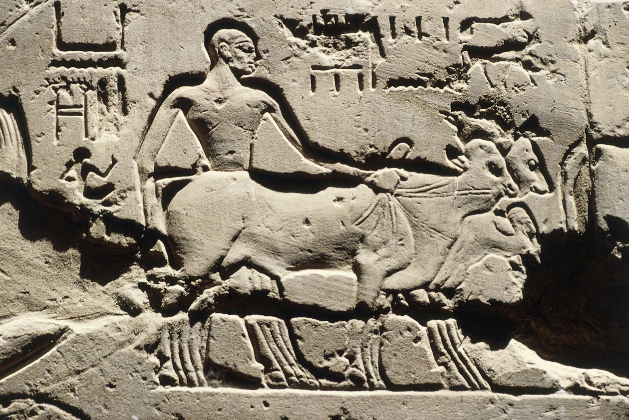  द्वारा मिस्र का 19 वां राजवंश