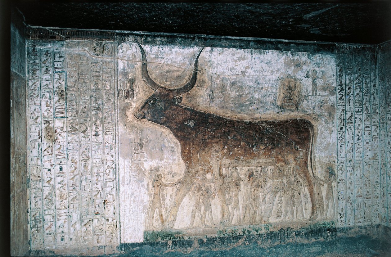  द्वारा मिस्र का 19 वां राजवंश
