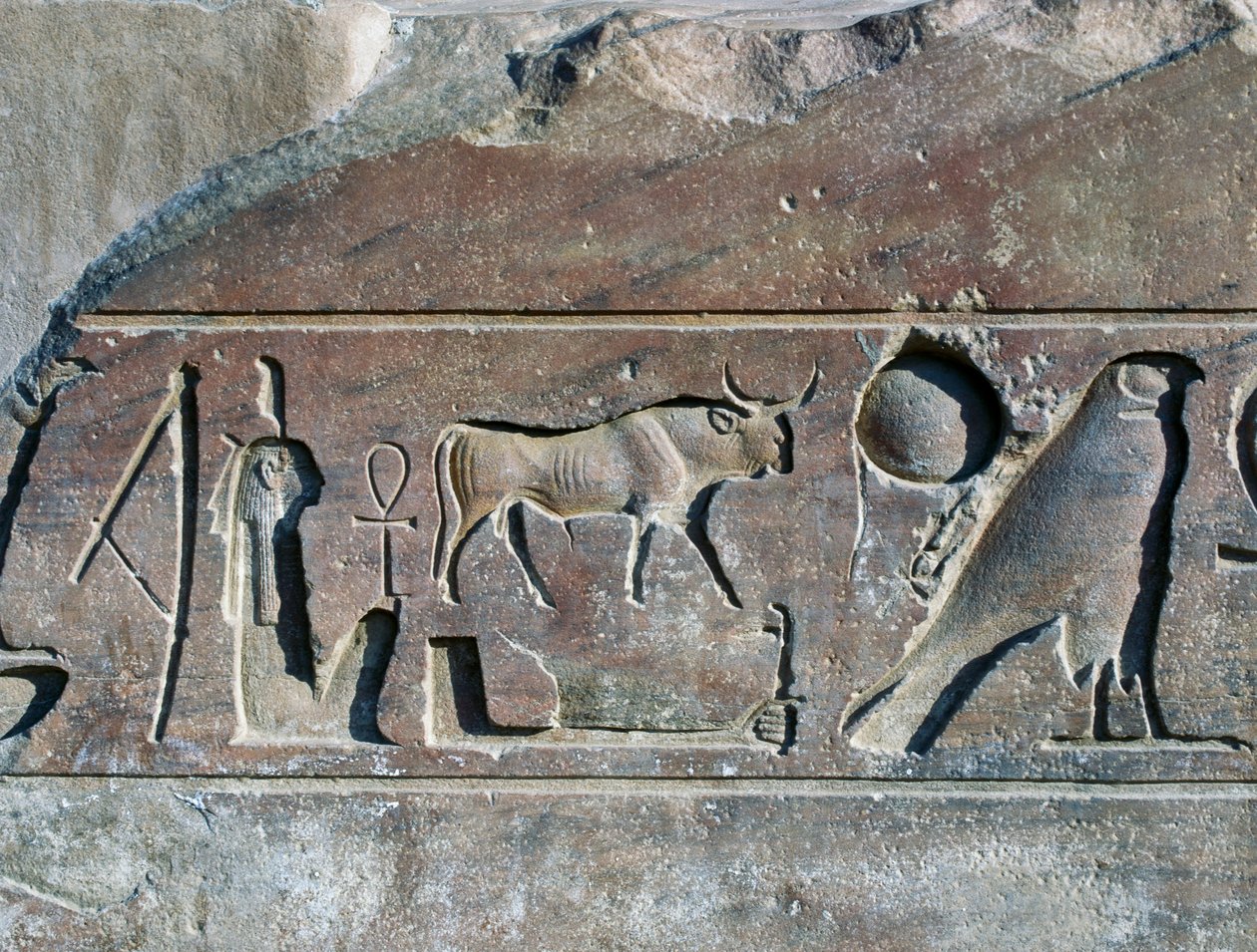  द्वारा मिस्र का 19 वां राजवंश