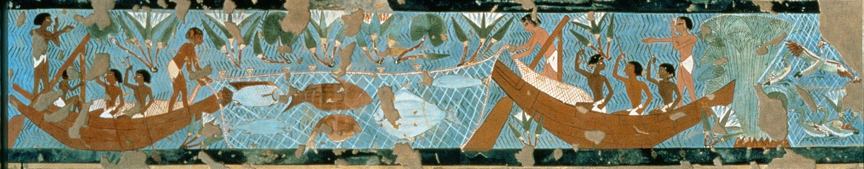 Ipuy, Thebes के मकबरे से दीवार पेंटिंग, मछली पकड़ने का दृश्य, न्यू किंगडम, c.1275 ईसा पूर्व (चित्रित चूना पत्थर) द्वारा मिस्र का 19 वां राजवंश