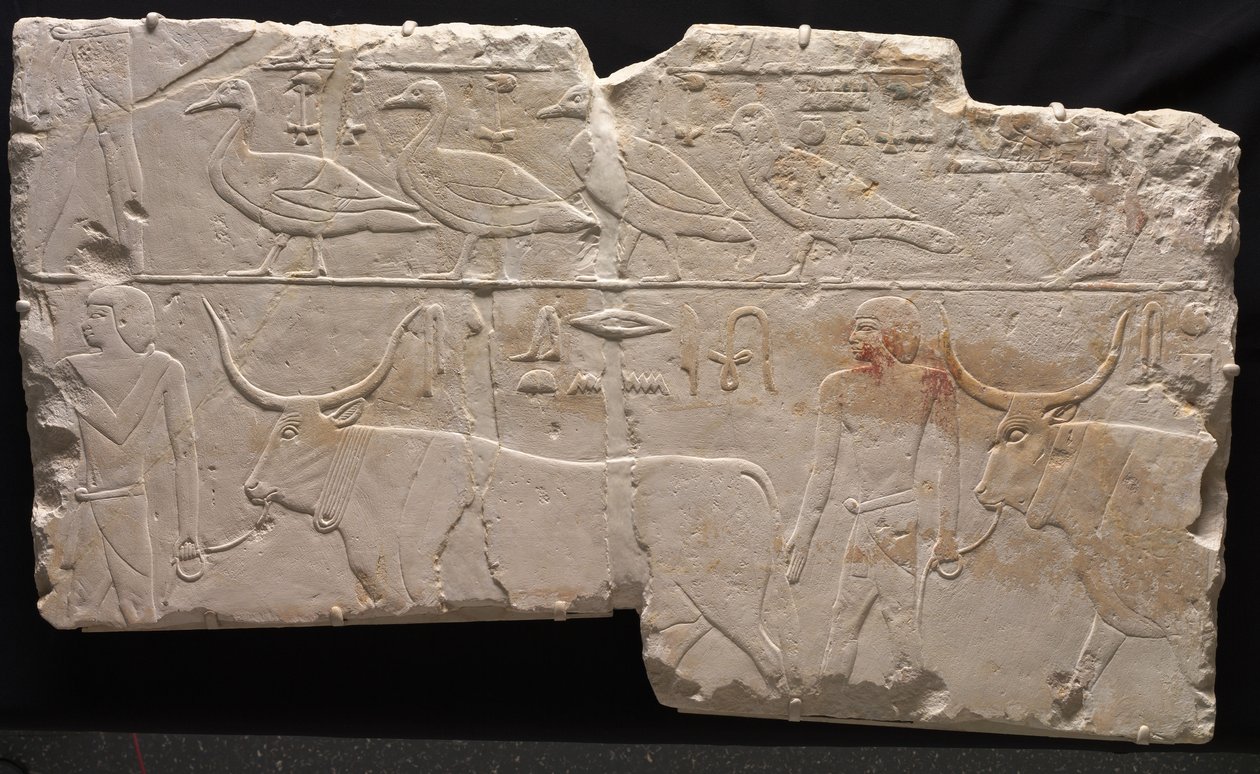 पक्षियों और मवेशियों को लाने वाले पुरुषों की राहत, c.2311-2281 ई.पू. द्वारा मिस्र का 6 वाँ राजवंश