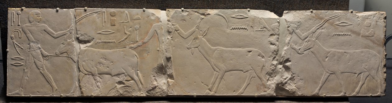 रेगिस्तानी जानवरों को लाने वाले पुरुषों की राहत, c.2311-2281 ई.पू. द्वारा मिस्र का 6 वाँ राजवंश