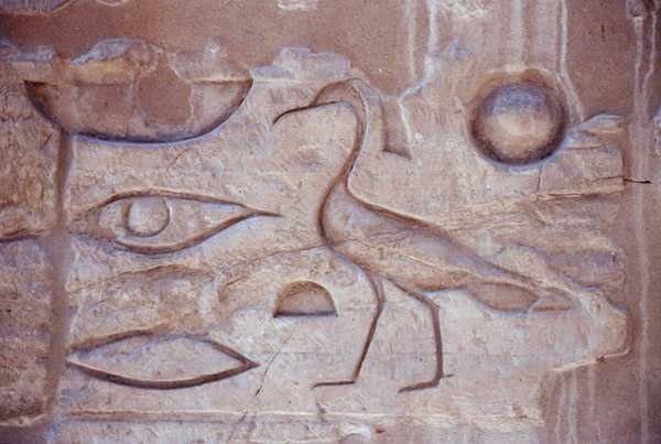 एक स्तंभ से चित्रलिपि, लक्सर मंदिर (फोटो) द्वारा मिस्र का मिस्र