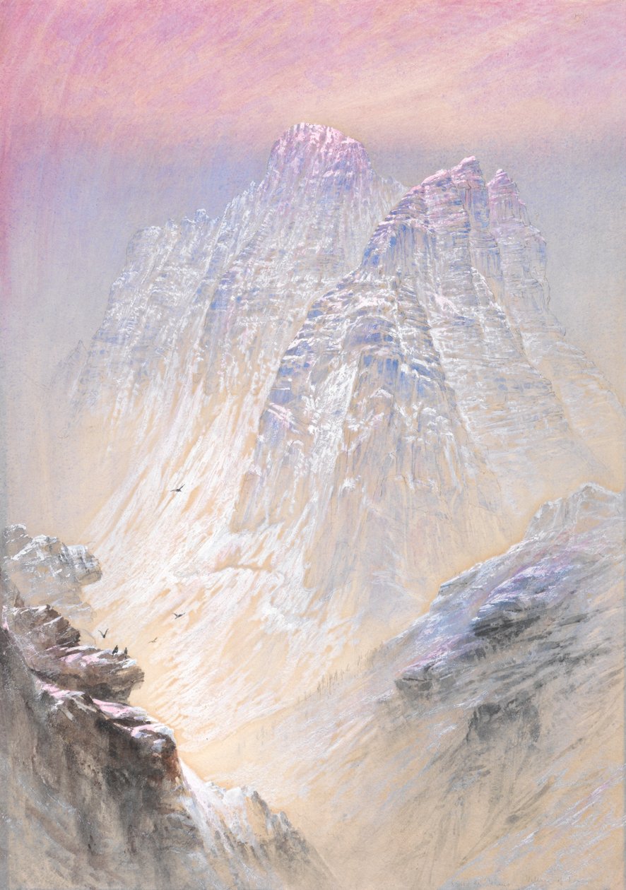  द्वारा एलिजा वाल्टन